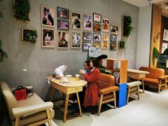 大堂-藏猫猫咖啡主题馆(中央大道店)