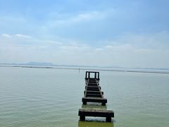 -贡湖湾湿地公园