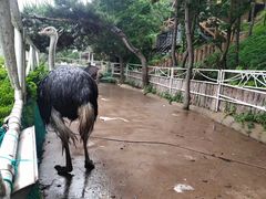 -大连森林动物园