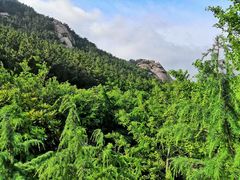 -崂山仰口游览区