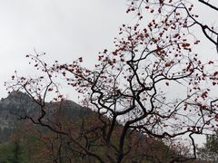 -石门坊