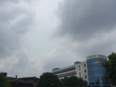 -陈李济中药博物馆