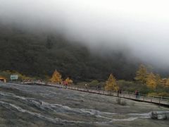 -黄龙山原始森林景区