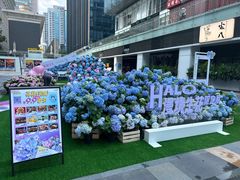 -HALO广场(梨园路店)