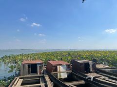 -莲花岛景区
