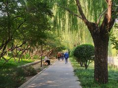 -元大都城垣遗址公园