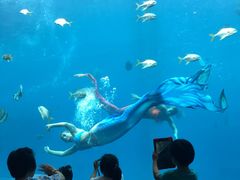 -瑞德姆美人鱼海底演艺主题餐厅(亚龙湾店)