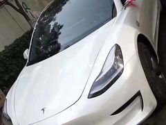 -TESLA 特斯拉(郑州正弘城体验店)