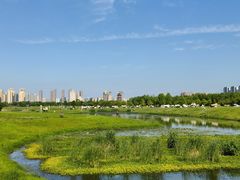 -洋湖国家湿地公园