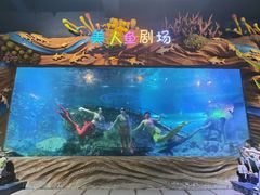 -太奥幻太奇海洋馆