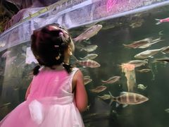 -江和美海洋公园