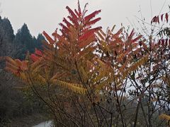 -府君山公园