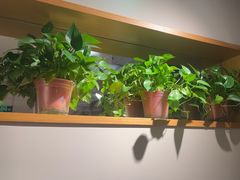 -阿源鱼捞斑鱼火锅·海鲜粥(山景尚宅店)