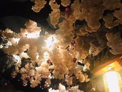 -汤乐汇•足道•SPA生活馆