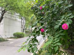 -USTC1958东区·by UNILAB