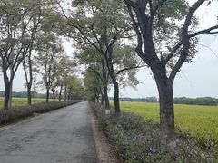 -嘉北郊野公园