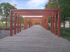 -春花秋色城市公园