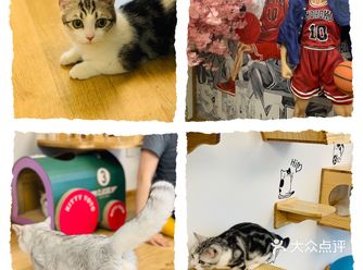 这也太爽了吧，我想待一天