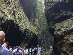 -牛背梁国家森林公园