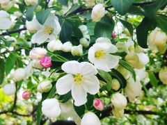 -元大都城垣遗址公园