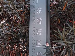 -福田红树林生态公园