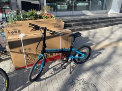 -道路口单车爱瓦士dahon大行