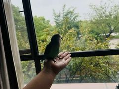 -红豆杉庄会议中心