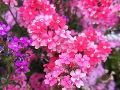-渤公岛生态公园