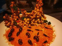 -鸢飞潍坊菜馆(鸢飞大酒店)