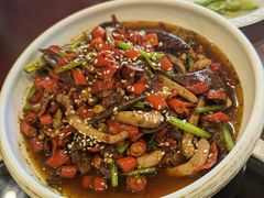 -火焰金龟甲(汉阳江滩旗舰店)