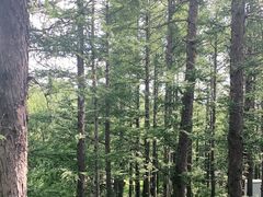 -白草畔自然风景区