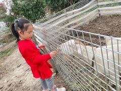 -小鱼草莓采摘园农家乐·小鱼餐厅