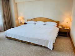 -南京维景国际大酒店(南京博物院店)