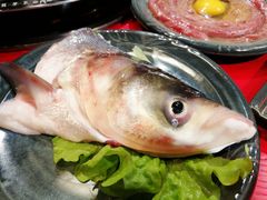 -谭鸭血老火锅(漳州路店)