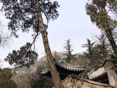 -青岛崂山太清宫