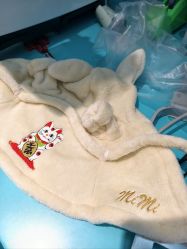 -国际蓝孩(万象天地店)