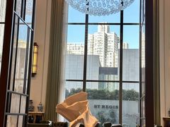 -The Drawing Room 闲逸廊(上海静安瑞吉酒店)
