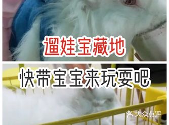 这家萌宠乐园真的超赞呢