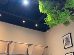 -良米山·云南野生菌过桥米线(上海首店)
