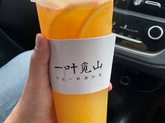 -一叶觅山(半边街店)