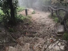 -梧桐山风景名胜区