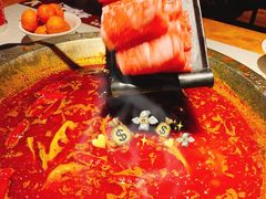精品肥牛卷-大龙燚火锅(天钥桥路店)