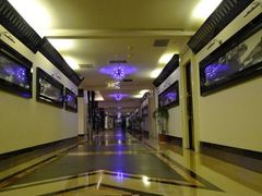 -东方之珠KTV娱乐超市(河北店)