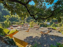 -杨家堂村