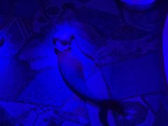 -皓声音KTV(新景店)