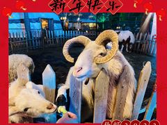 -蒙古大营(朝阳公园店)