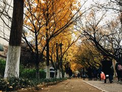 -山东师范大学(千佛山校区)