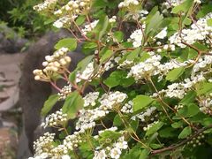 -碓臼峪自然风景区