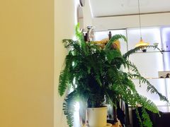-铁手珈琲制造局metalhands(望京店)