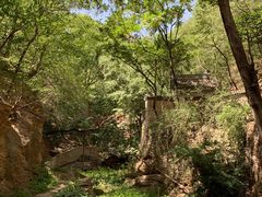 -北京上方山国家森林公园